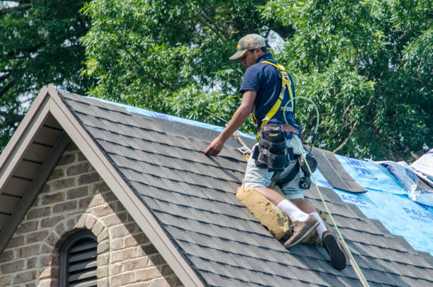 Roof Gutter Cleaning in Frankfort, OH